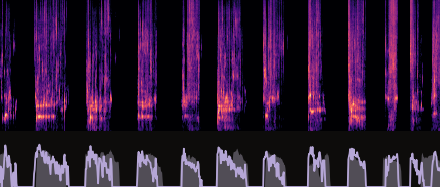 SILA ablation spectrogram 2.